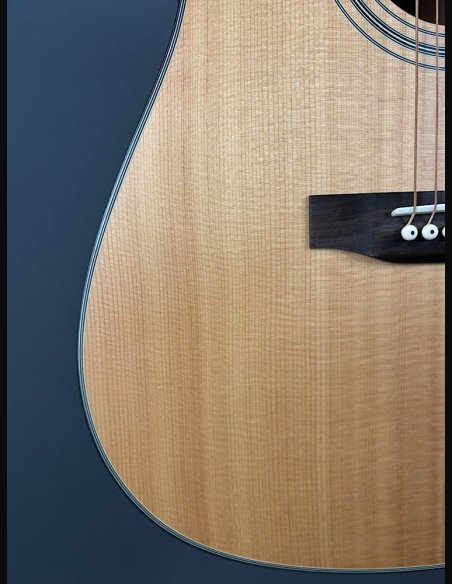 Guild A20 Bob Marley c/bag