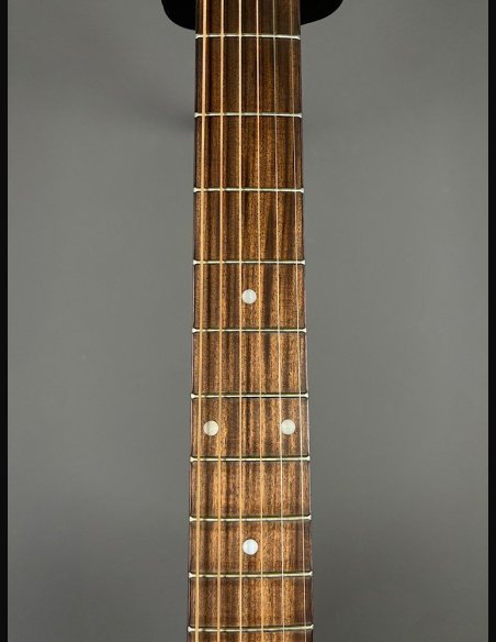 Guild A20 Bob Marley c/bag