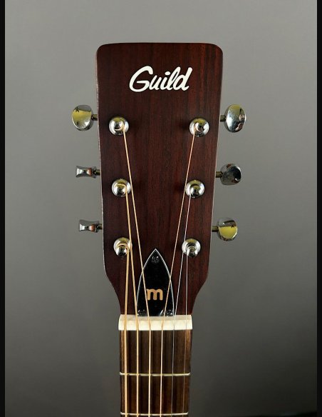Guild A20 Bob Marley c/bag