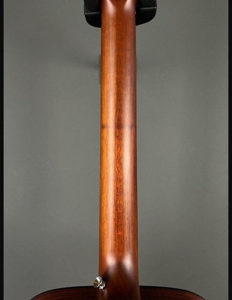 Guild A20 Bob Marley c/bag