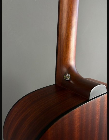 Guild A20 Bob Marley c/bag