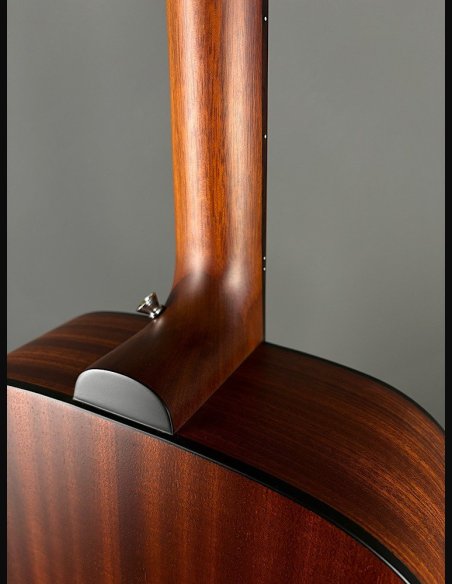 Guild A20 Bob Marley c/bag