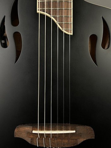 Ortega TourPlayer RTPSTD Satin Black