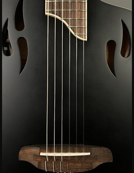 Ortega TourPlayer RTPSTD Satin Black