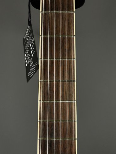 Ortega TourPlayer RTPSTD Satin Black