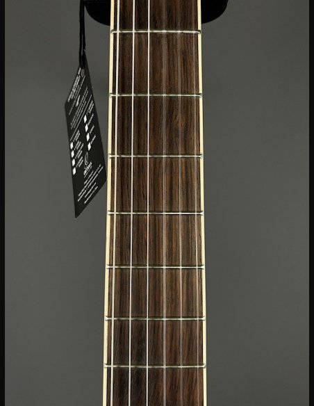 Ortega TourPlayer RTPSTD Satin Black