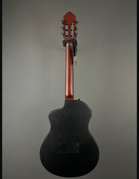 Ortega TourPlayer RTPSTD Satin Black