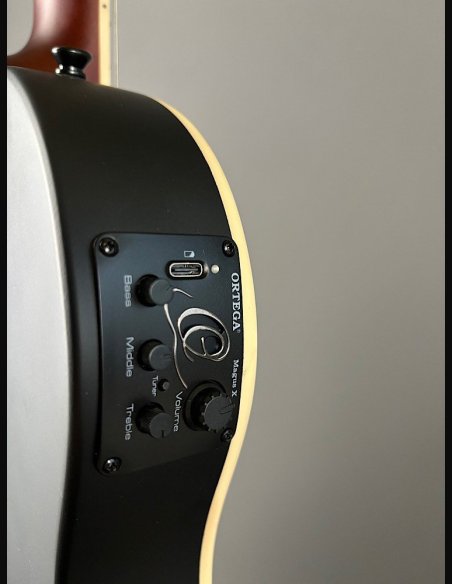 Ortega TourPlayer RTPSTD Satin Black