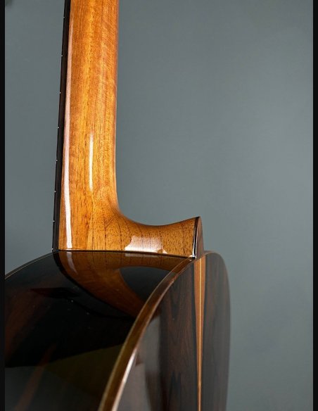 Camps Rodrigo A Abete Ziricote Chitarra Classica