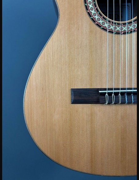 Camps Rodrigo C Cedro Ziricote Chitarra Classica