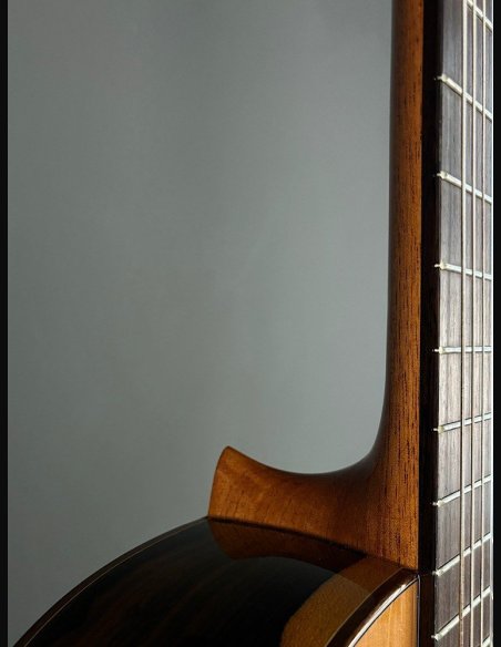 Camps Rodrigo C Cedro Ziricote Chitarra Classica