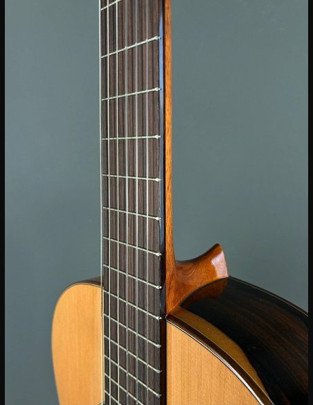 Camps Rodrigo C Cedro Ziricote Chitarra Classica