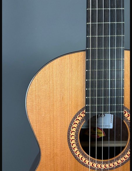 Camps De Falla C Cedro Palissandro Indiano Chitarra Classica