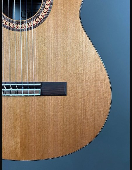 Camps De Falla C Cedro Palissandro Indiano Chitarra Classica