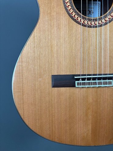 Camps De Falla C Cedro Palissandro Indiano Chitarra Classica