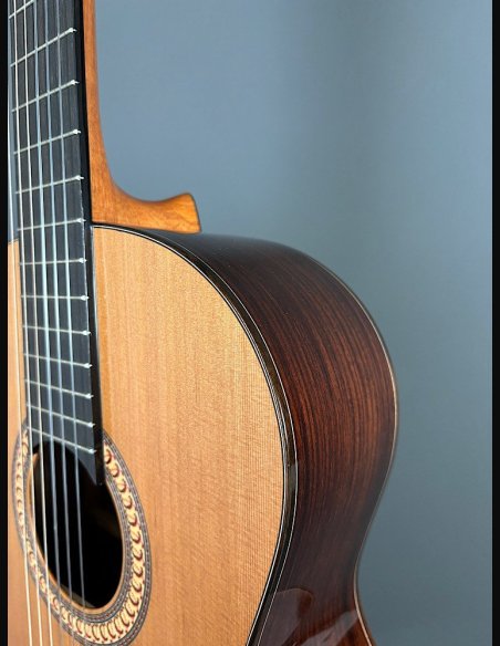 Camps De Falla C Cedro Palissandro Indiano Chitarra Classica