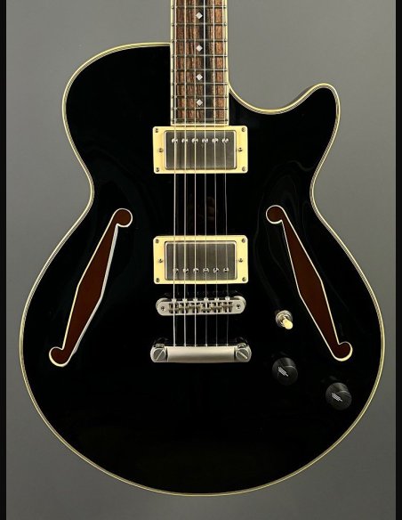 D'Angelico SS Tour Black Burst