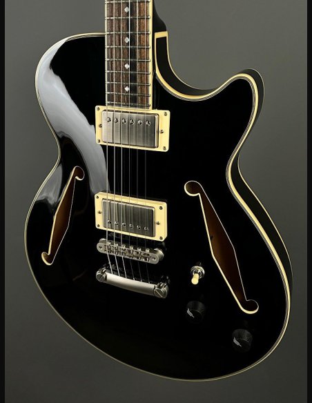 D'Angelico SS Tour Black Burst