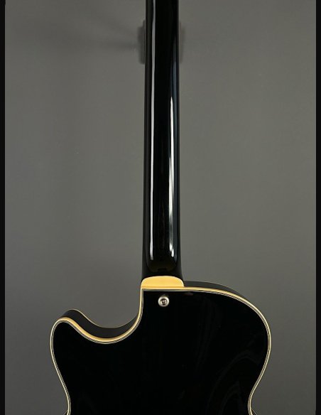 D'Angelico SS Tour Black Burst