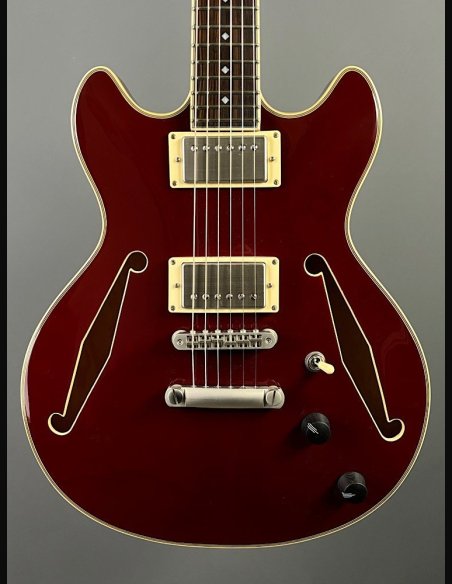 D'Angelico Exel Mini DC Tour Wine