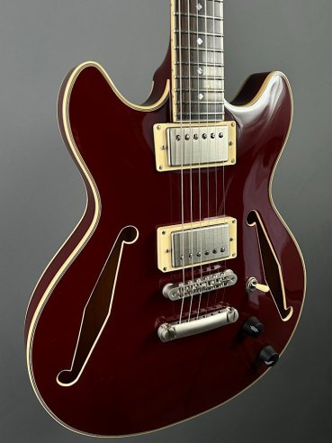 D'Angelico Exel Mini DC Tour Wine