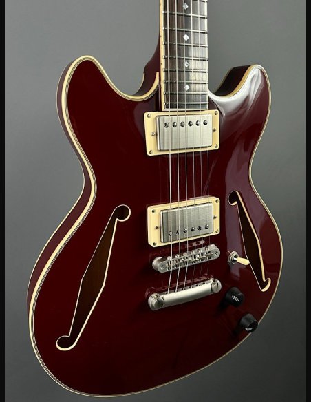 D'Angelico Exel Mini DC Tour Wine