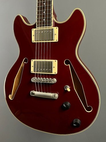 D'Angelico Exel Mini DC Tour Wine