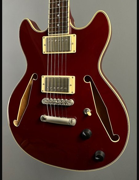 D'Angelico Exel Mini DC Tour Wine