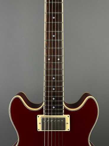 D'Angelico Exel Mini DC Tour Wine
