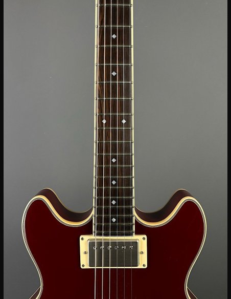 D'Angelico Exel Mini DC Tour Wine