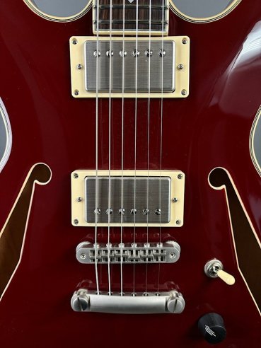 D'Angelico Exel Mini DC Tour Wine