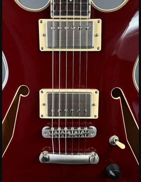 D'Angelico Exel Mini DC Tour Wine