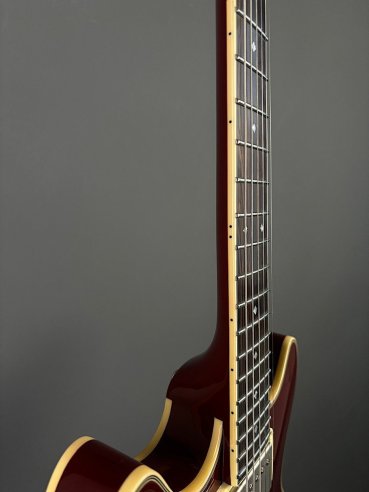 D'Angelico Exel Mini DC Tour Wine