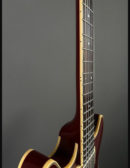 D'Angelico Exel Mini DC Tour Wine