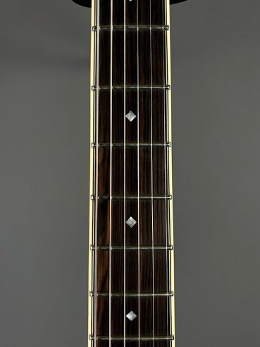 D'Angelico Exel Mini DC Tour Wine