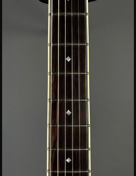 D'Angelico Exel Mini DC Tour Wine