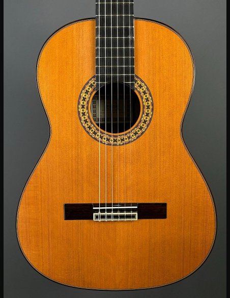 Esteve 8 Chitarra Classica