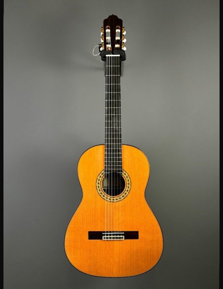Esteve 8 Chitarra Classica