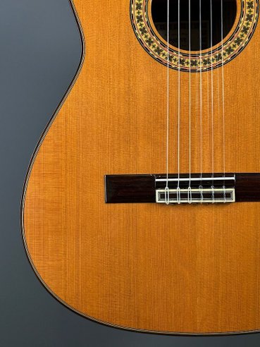 Esteve 8 Chitarra Classica