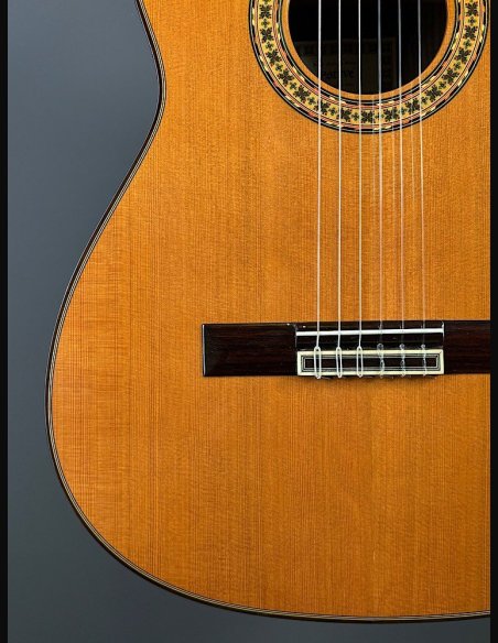 Esteve 8 Chitarra Classica