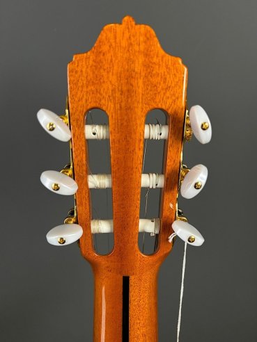 Esteve 8 Chitarra Classica