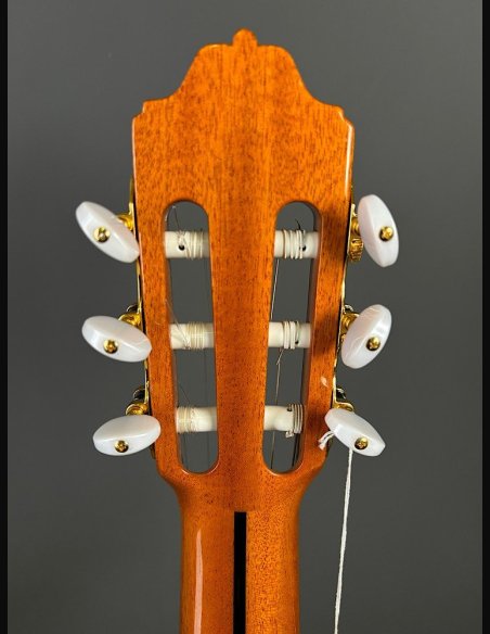 Esteve 8 Chitarra Classica
