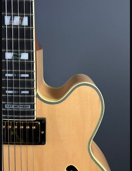 Ibanez PM200