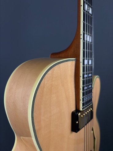 Ibanez PM200
