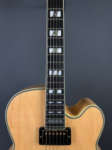 Ibanez PM200