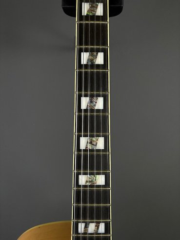 Ibanez PM200