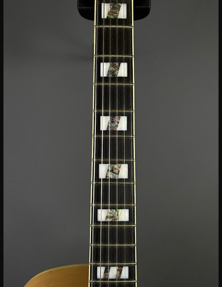 Ibanez PM200