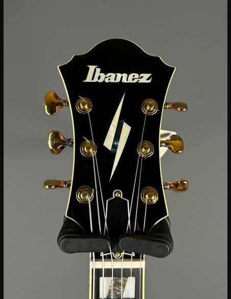 Ibanez PM200