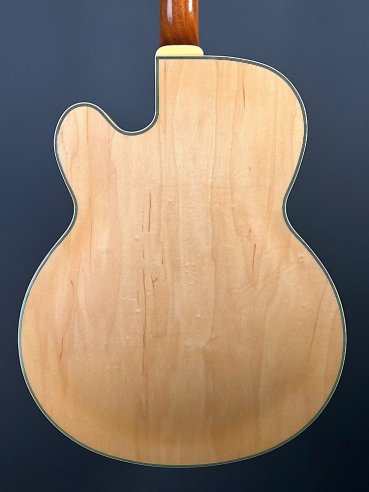 Ibanez PM200