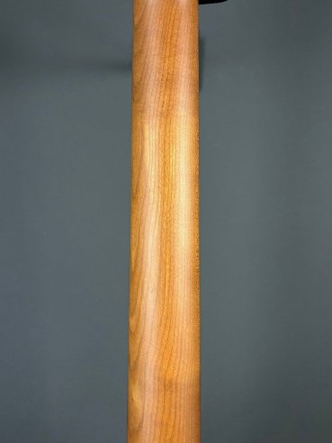 Schecter R66 Original Traditional Chicago Chitarra Elettrica